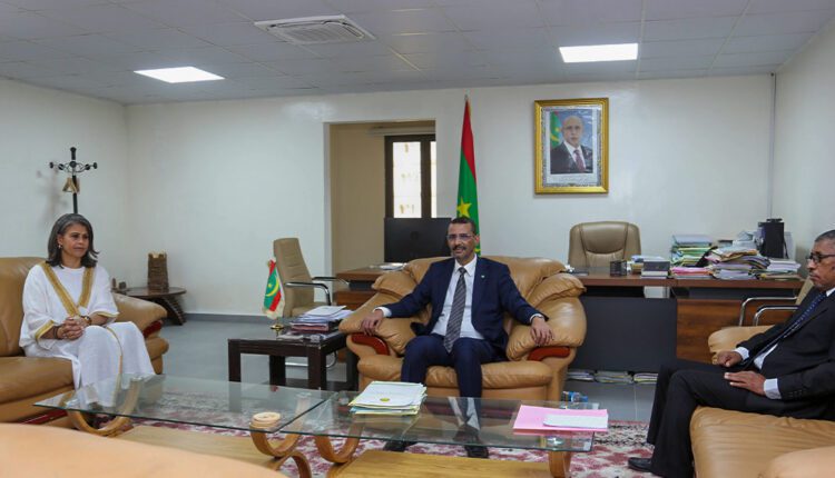 وزير الثقافة يبحث مع ممثلة الفرانكوفونية لشمال إفريقيا تعزيز التعاون في مجالات الثقافة والاتصال