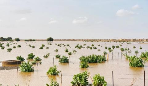 تساقطات مطرية في خمس ولايات خلال الـ24 ساعة الماضية